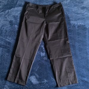 Avenue black dress pants size 14 brand new